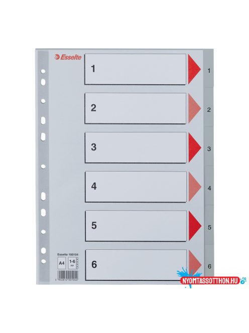 Esselte Műanyag regiszter 1-6, A4