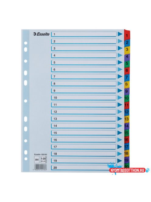 Esselte MYLAR regiszter 1-20, A4