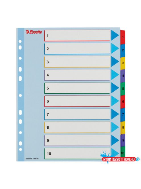 Esselte Újraírható regiszter 1-10, A4