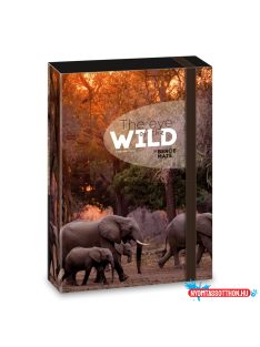 Ars Una Máté Bence The Eyes of the Wild A/5 füzetbox