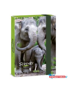 Ars Una Serenity-Elephant A/5 füzetbox