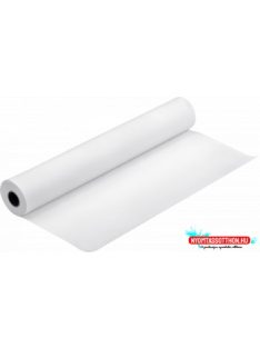 Epson 17x30,5m Roll paper 250g