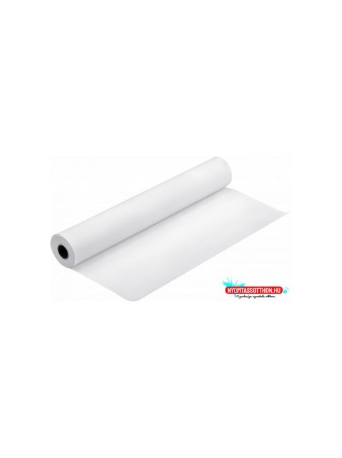 Epson 17x30,5m Roll paper 250g