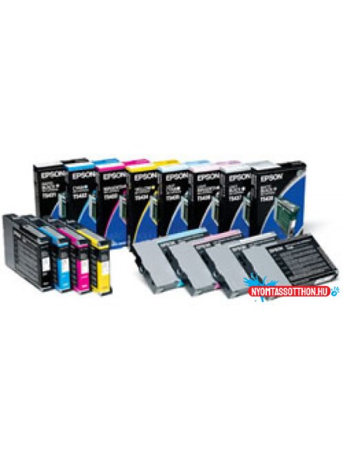 Epson T6021 Patron Photo Black 110ml (Eredeti)