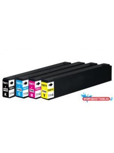 EPSON T8873 Patron Magenta /FU/