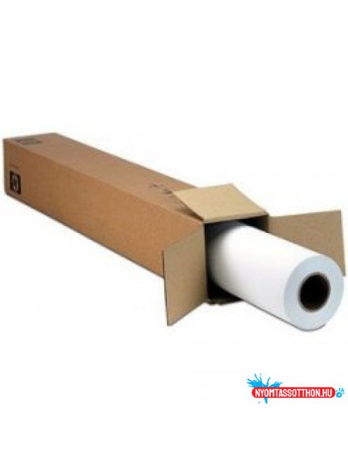 P HP 42"x22,9m Matte Polypropylene, 2 pack 140g C2T54A