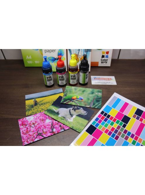 ColorWay T6641-T6644 Set Ink - 100ml (Premium Remanufactured Ink)