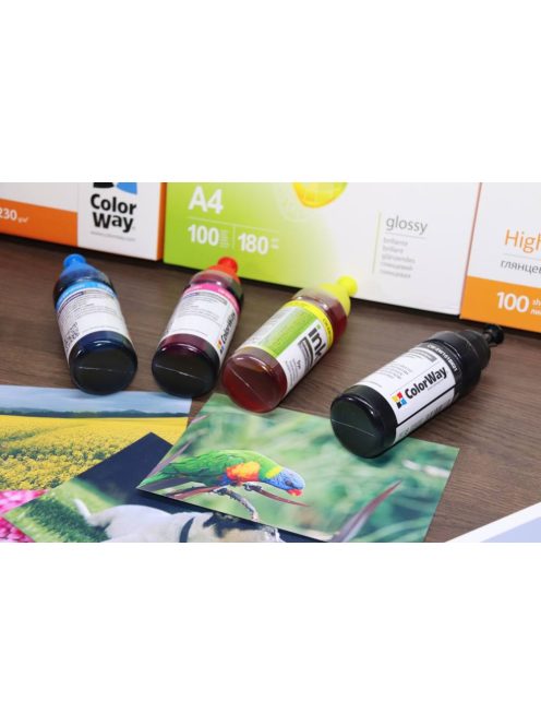 ColorWay T6641-T6644 Set Ink - 100ml (Premium Remanufactured Ink)