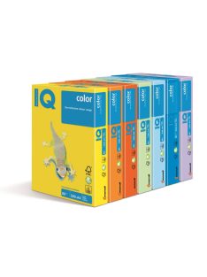 IQ Color A4 80g. GR21 Gray, color-coded copy paper